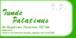 tunde palatinus business card